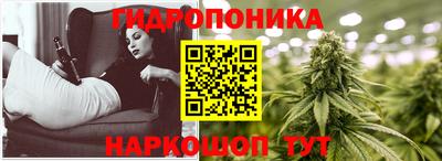 ешки Шелехов