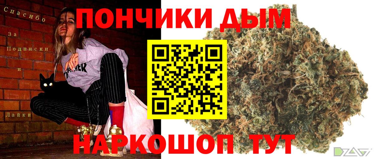 Бошки Шишки ГИДРОПОН Кызыл
